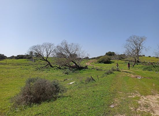 israel/hadera/attraction/berekhat-ya-ar-nature-preserve