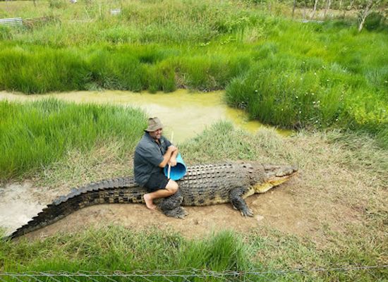 australia/whitsunday-islands/attraction/bredls-wild-farm-bookings-essential