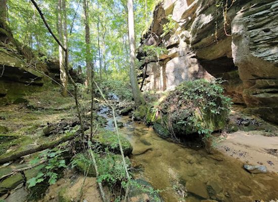 alabama/bankhead-national-forest/attraction/rocky-ravine-park
