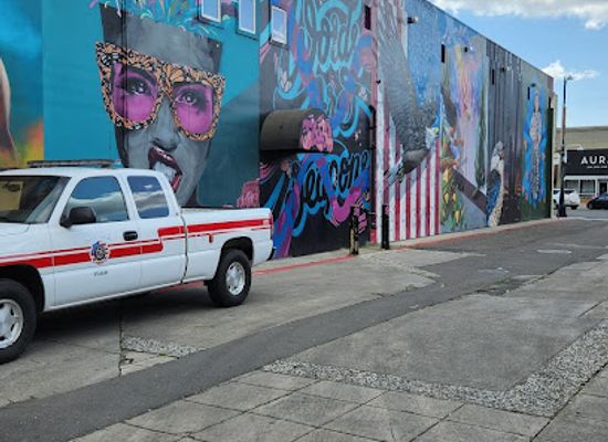 california/gold-country/attraction/domo-walls