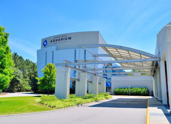 virginia/central-virginia/attraction/virginia-aquarium-marine-science-center