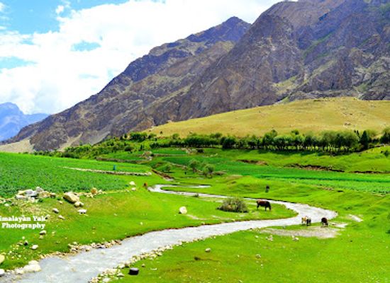 pakistan/ladakh/attraction/roundu-thorsay-bilamic