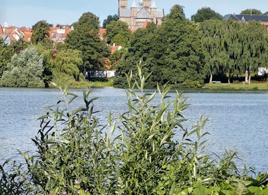 denmark/viborg/attraction/klosterskoven