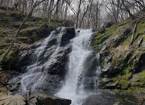 virginia/skyline-drive/attraction/jones-run-falls-trailhead