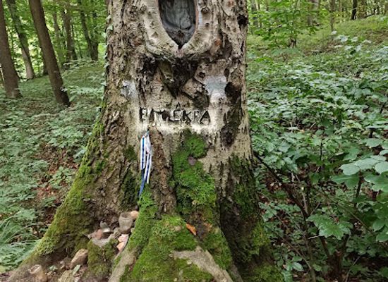 hungary/vertes-mountains/attraction/rockenbauer-pal-emlekfa