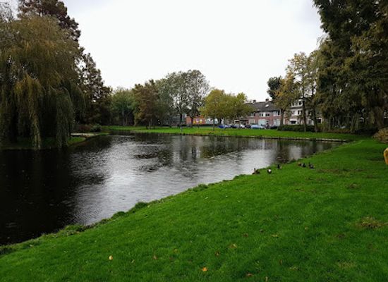netherlands/bollenstreek/attraction/mondriaanpark