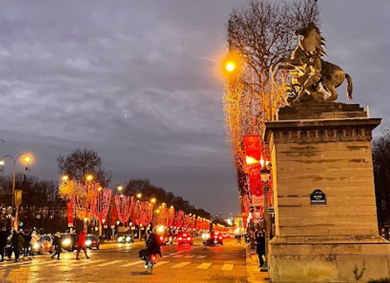 france/paris/champs-elysees/attraction/jardin-des-champs-elysees