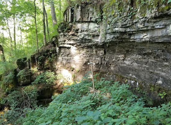 tennessee/highland-rim/attraction/bell-witch-cave