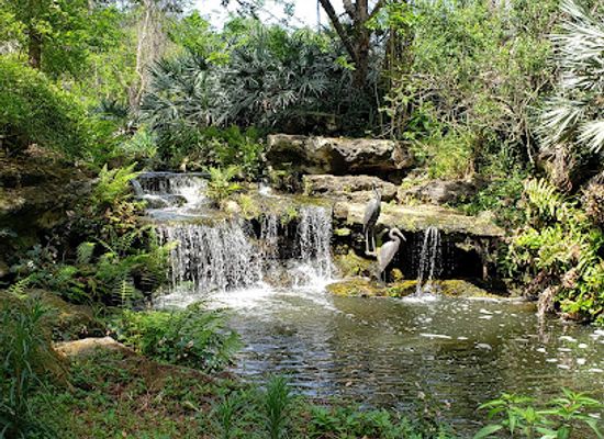 florida/gainesville/attraction/kanapaha-botanical-gardens