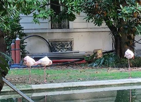 italy/milan/attraction/villa-invernizzi