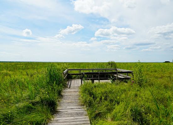 poland/suwalszczyzna/attraction/sciezka-dluga-luka