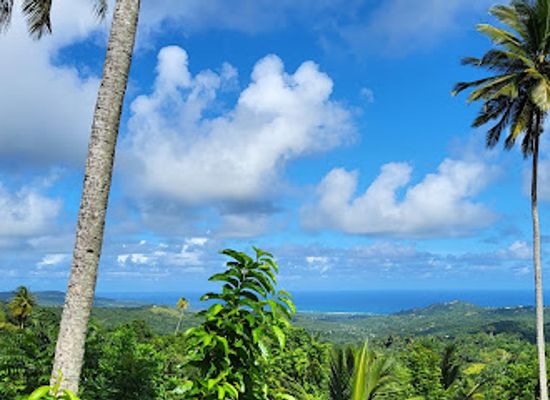 barbados/bridgetown/attraction/barbados