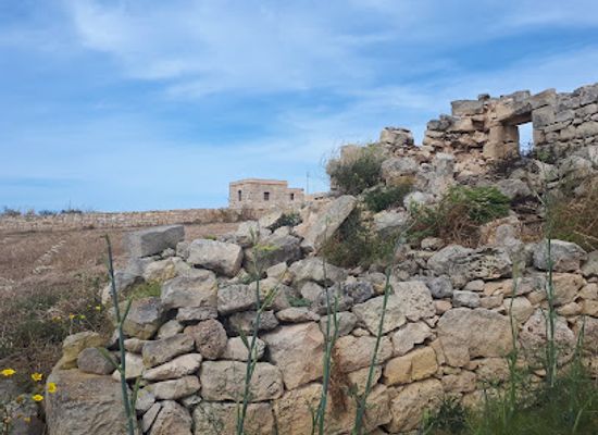 malta/tas-silg-area/attraction/tas-silg-archaeological-complex