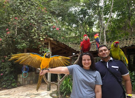 honduras/lempira-region/attraction/parque-de-aves
