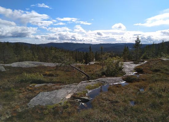 norway/buskerud/attraction/trillemarka-rollagsfjell-nature-reserve