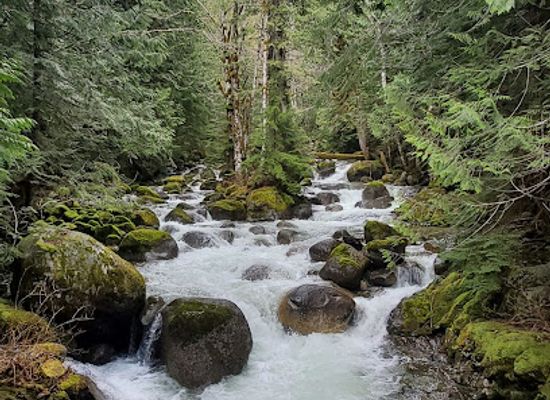 washington/mount-baker-snoqualmie-national-forest/attraction/iron-goat-martin-creek-trailhead