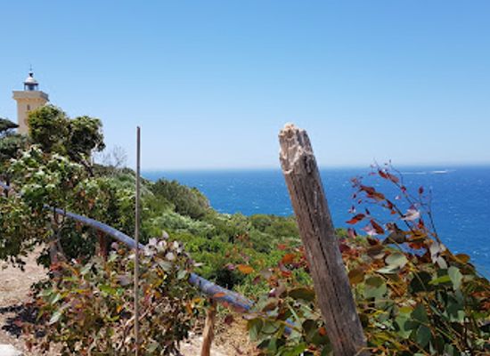 morocco/tangier/medina/attraction/lighthouse-cap-malabata
