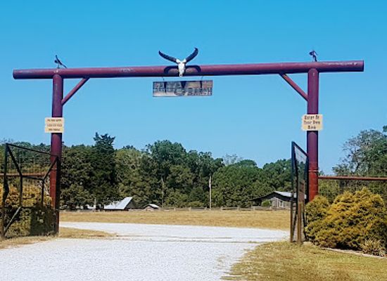 north-carolina/high-country/attraction/lazy-5-ranch