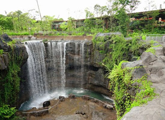 singapore/west-region/attraction/bird-paradise