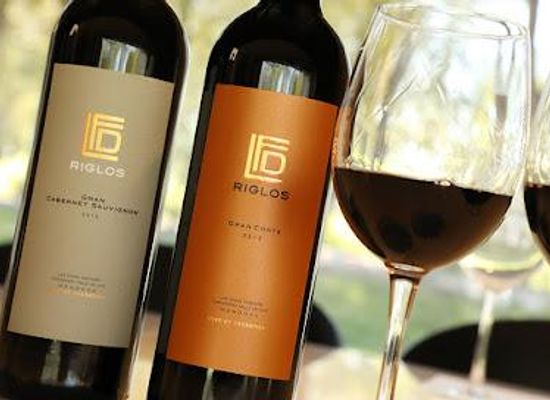 argentina/cuyo/attraction/wht-huarpe-y-riglos-wines