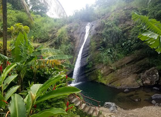 grenada/saint-david/attraction/water-view-grenada