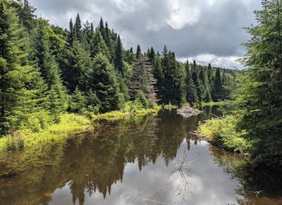vermont/mad-river-valley/attraction/scrag-mountain-town-forest-parking-area