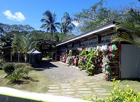 philippines/mimaropa/attraction/palawan-wildlife-rescue-and-conservation-center-crocodile-farm