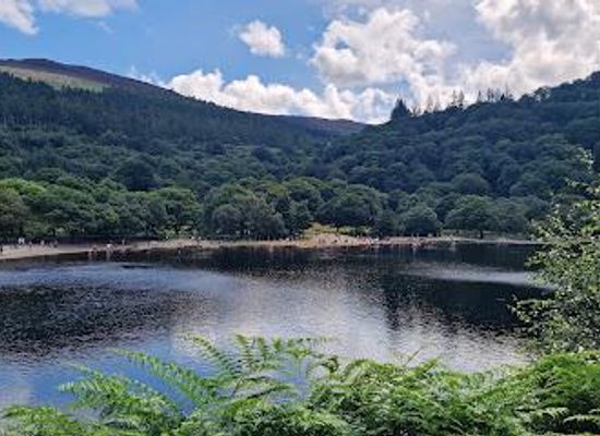 ireland/county-wicklow/attraction/wicklow-mountains-national-park