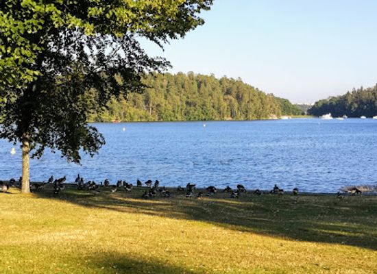 sweden/svealand/attraction/drottningholm-palace
