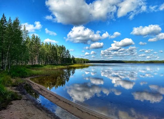 finland/north-karelia/attraction/patvinsuo-national-park