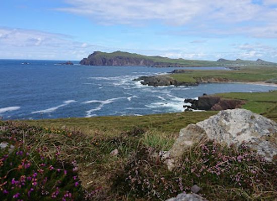 ireland/dingle-peninsula/attraction/gallarus-oratory-visitor-centre