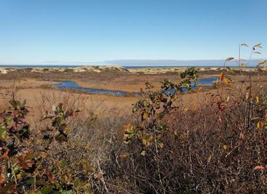 massachusetts/hyannis/attraction/pilgrim-spring-trail