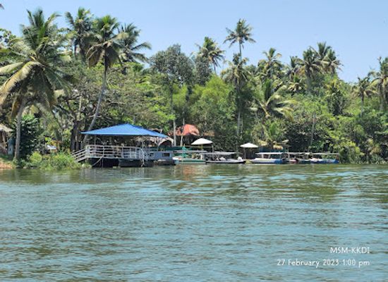 india/kerala-backwaters/attraction/poovar-backwater-cruise