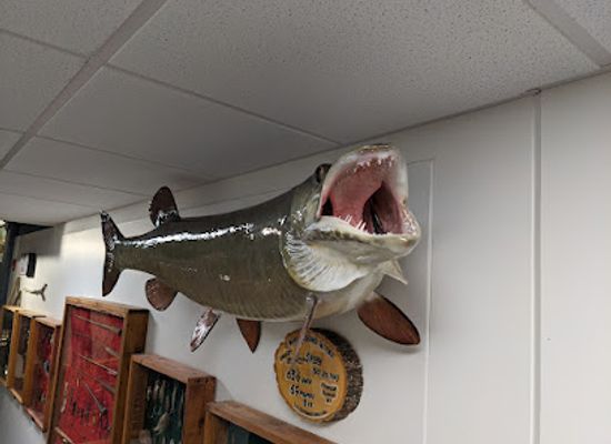 wisconsin/chippewa-valley/attraction/chippewa-area-history-center