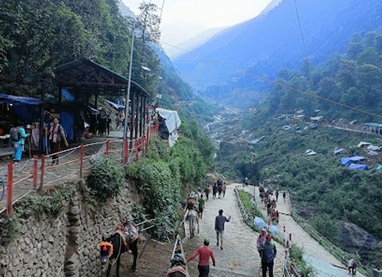 india/uttarakhand/attraction/jangle-chatti-bazar
