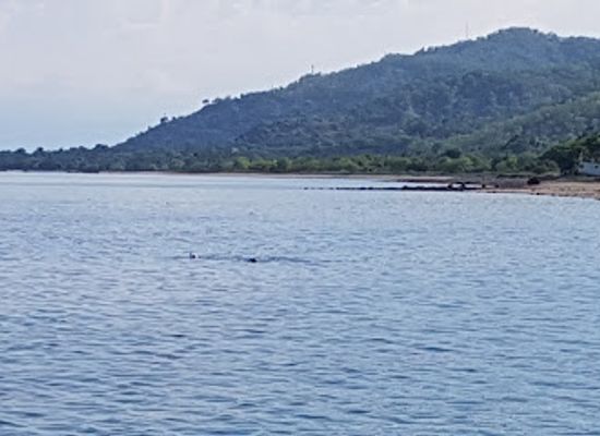 timor-leste/atauro-island/attraction/beloi-outer-reef