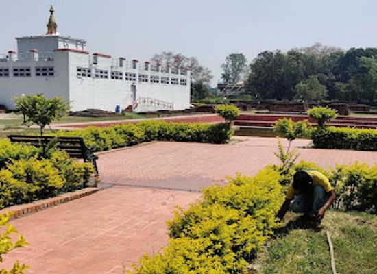 nepal/lumbini/attraction/lumbini-crane-sanctuary