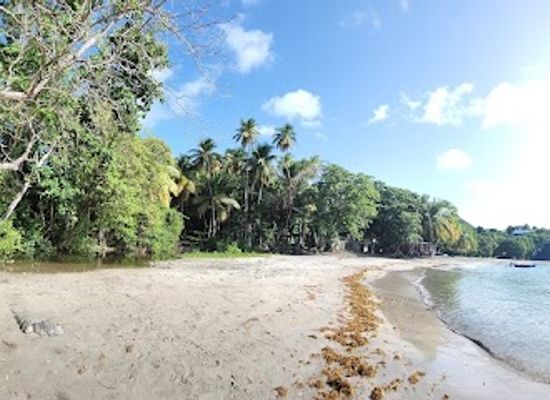 grenada/gouyave/attraction/david-beach-daavee-pronunciation