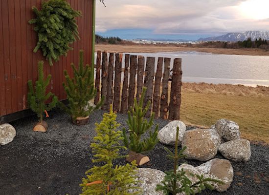iceland/southern-peninsula/attraction/reykjavik-forestry-association