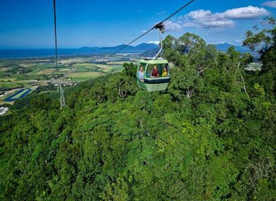 australia/port-douglas/attraction/skyrail-rainforest-cableway