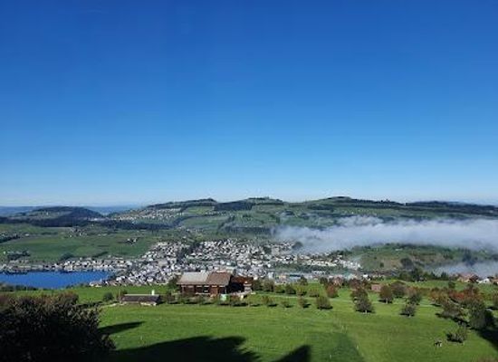 switzerland/central-switzerland/attraction/seebodenalp