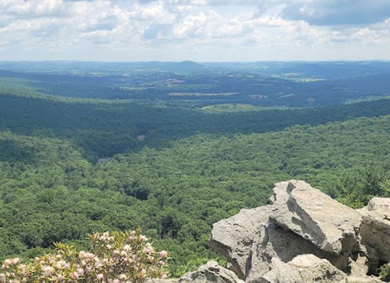 new-jersey/appalachian-trail/attraction/hawk-mountain-sanctuary