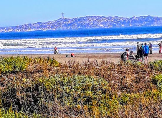chile/coquimbo/attraction/playa-el-faro