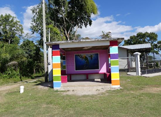 belize/southern-belize-barrier-reef/attraction/community-baboon-sanctuary-visitor-center-and-museum-a-black-howler-monkey-sanctuary