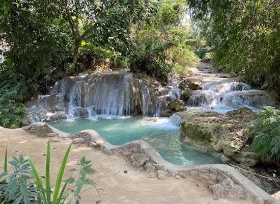 laos/luang-prabang/attraction/kuang-si-butterfly-park