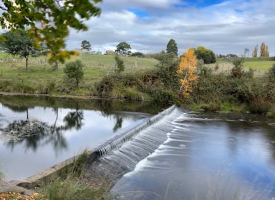 australia/northern-victoria/attraction/kyneton-botanic-gardens