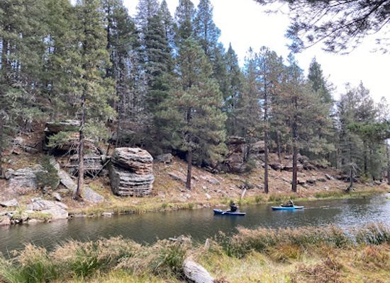 arizona/tonto-national-forest/attraction/sitgreaves-national-forest