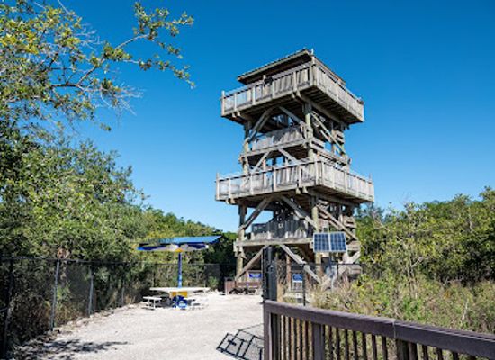 florida/tampa-bay-area/attraction/manatee-viewing-center