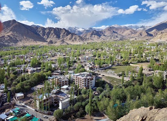 india/ladakh/attraction/the-namgyal-tsemo-monastery-leh-district-ladakh-india