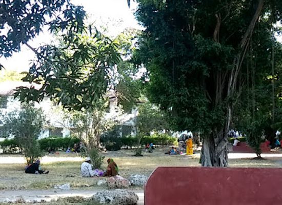 tanzania/stone-town/attraction/gongwon